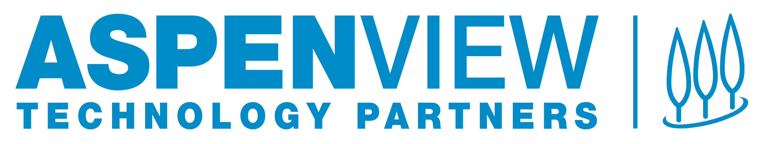 AspenView Technology Partners