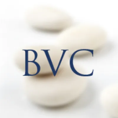 Brightstone Venture Capital