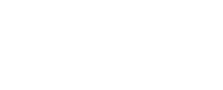 Chip