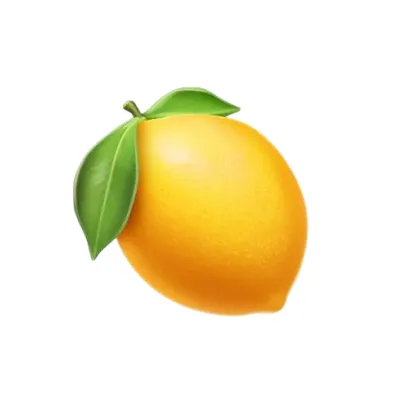 Lemon Slice