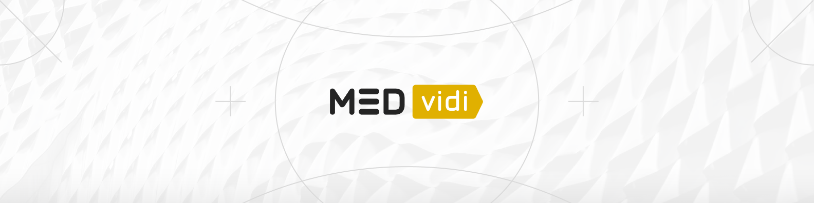 Medvidi
