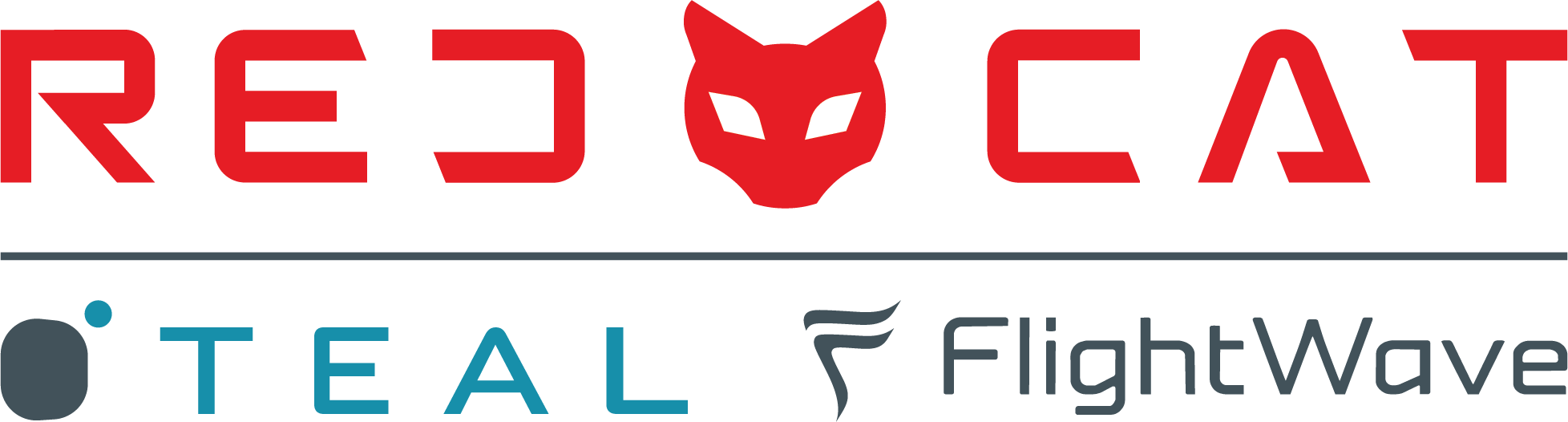 RED CAT HOLDINGS