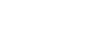 Skaleet