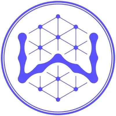 WisdomAI